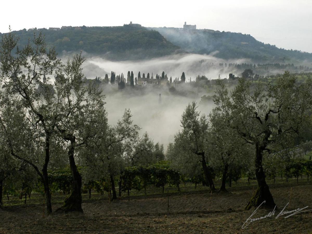 Holiday Home Podere Santa Lucia By Interhome Volterra Buitenkant foto